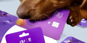 Nudog: cachorros comeram cartão Nubank