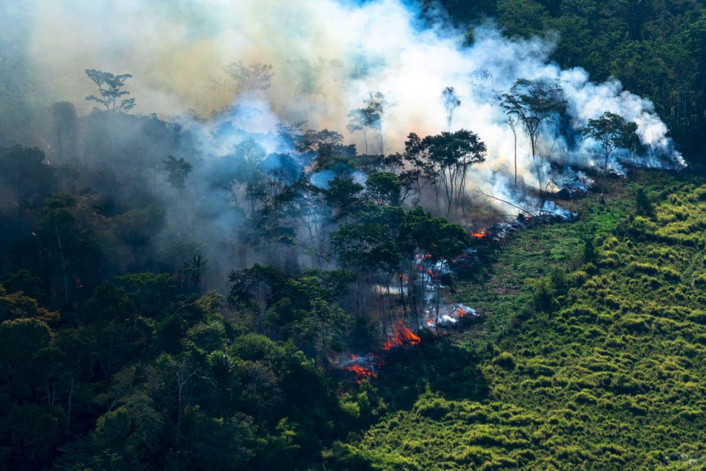 preservação amazonia programa crescimento verde