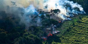 preservação amazonia programa crescimento verde