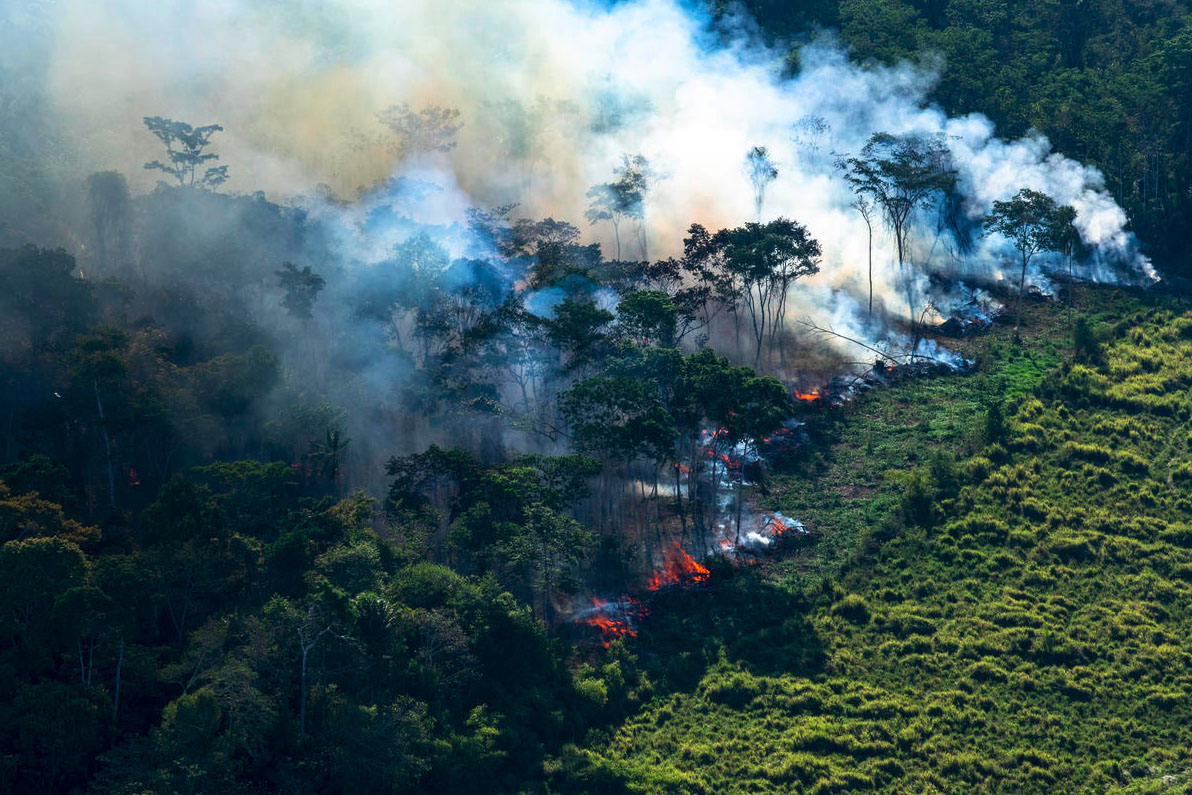 Governo planeja gastar US$ 2 bilhões para pagar proprietários de terras para preservar florestas
