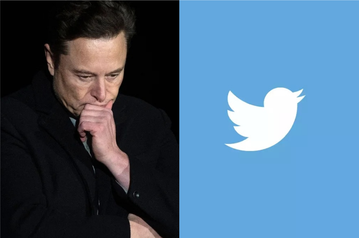 Elon Musk pode tomar prejuízo BILIONÁRIO por desistir da compra do Twitter