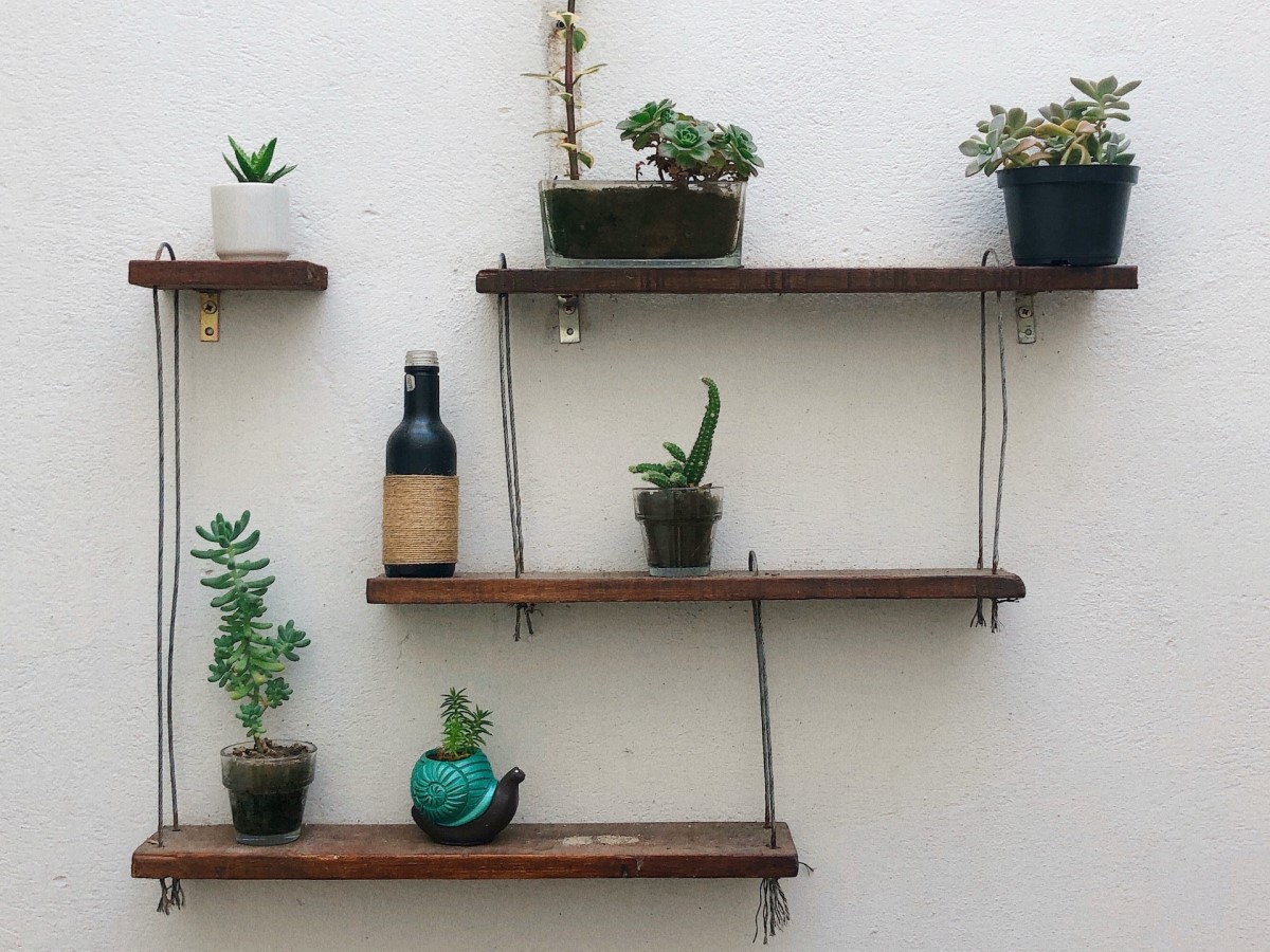 Prateleiras para plantas: 6 ideias para decorar sua sala de estar!