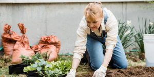 Cuidar de um jardim em casa pode ser mais fácil do que você imagina; veja nossas dicas