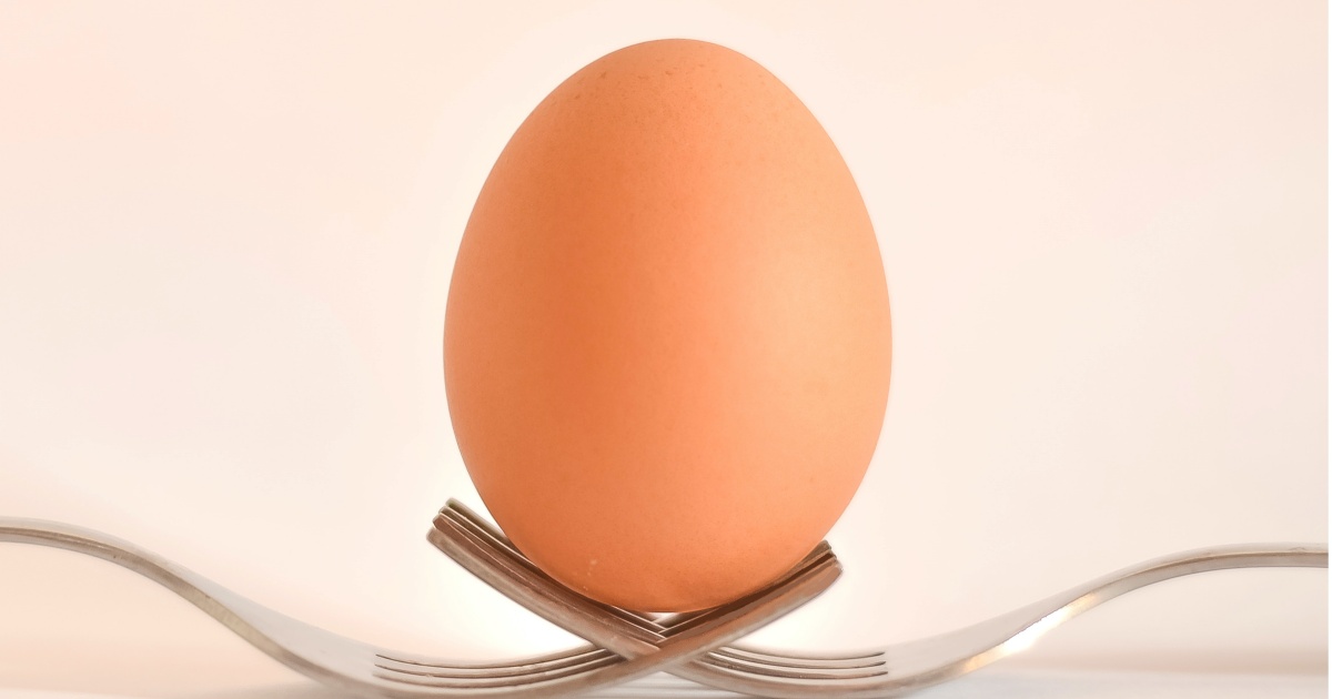 Utilize a casca de ovo DESSE JEITO e sua vida nunca mais será a mesma!