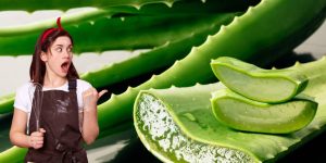 5 usos INCRÍVEIS da Aloe Vera que vão surpreendê-lo