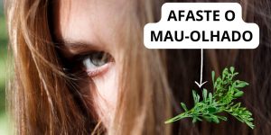 7 plantas para afastar o MAU-OLHADO e voltar a ter boa sorte