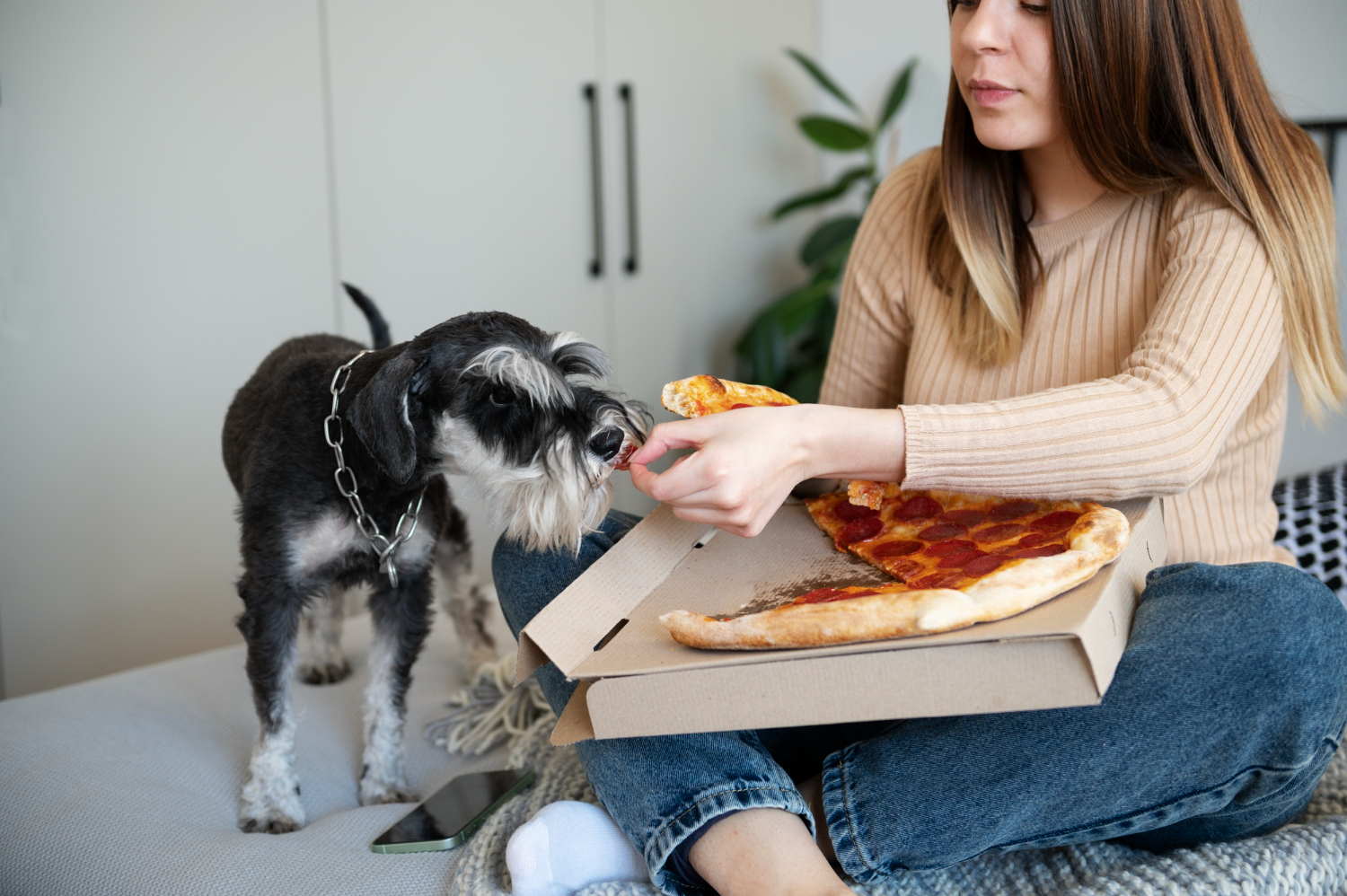 Muito cuidado: 7 alimentos que cachorros NÃO podem comer
