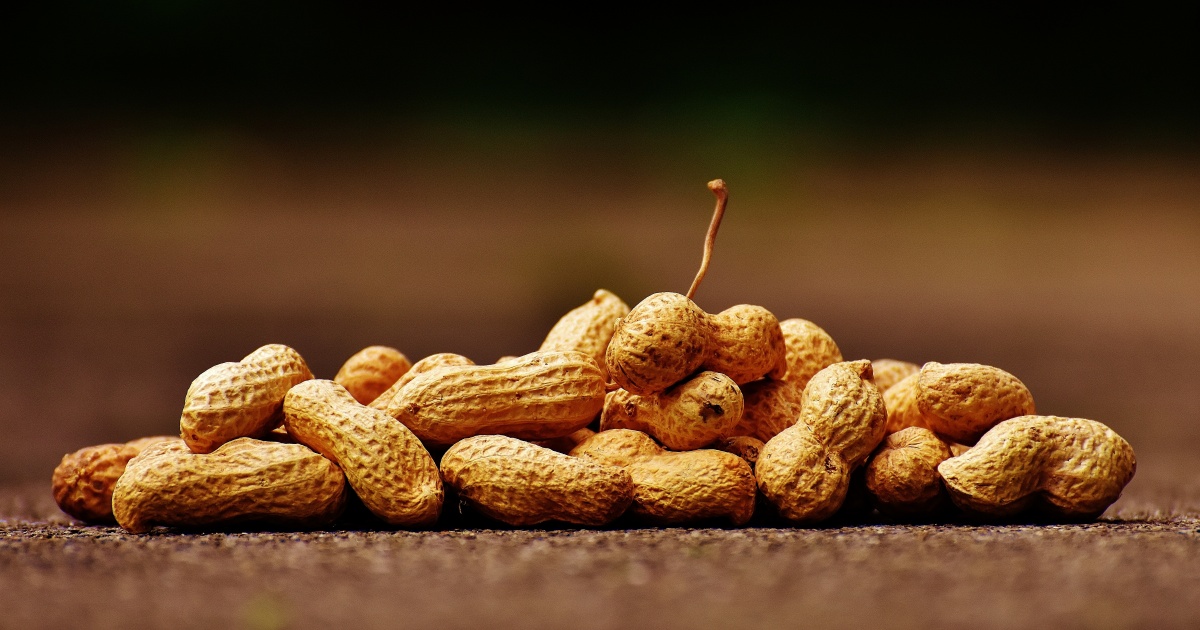 Não jogue fora: 5 formas incríveis de aproveitar a Casca do Amendoim