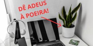 5 plantas que eliminam poeira dentro de casa: tenha o ar super purificado!