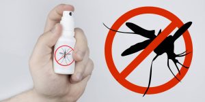 Economize DINHEIRO solução caseira para repelir mosquitos de qualquer ambiente