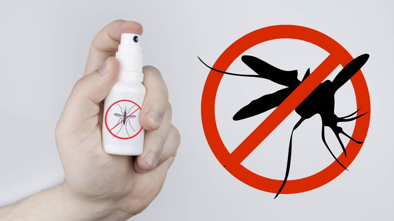 Economize DINHEIRO: solução caseira para repelir mosquitos de qualquer ambiente
