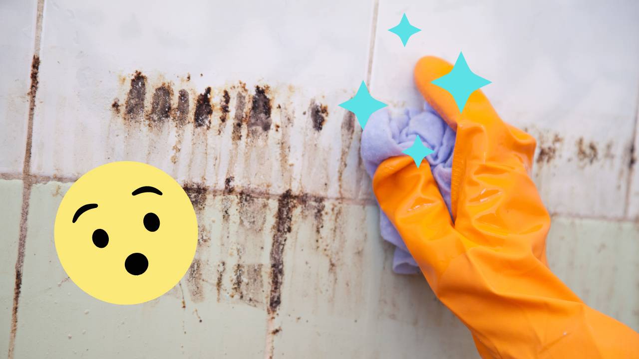 Como limpar azulejo do banheiro engordurado testamos e aprovamos este truque especial