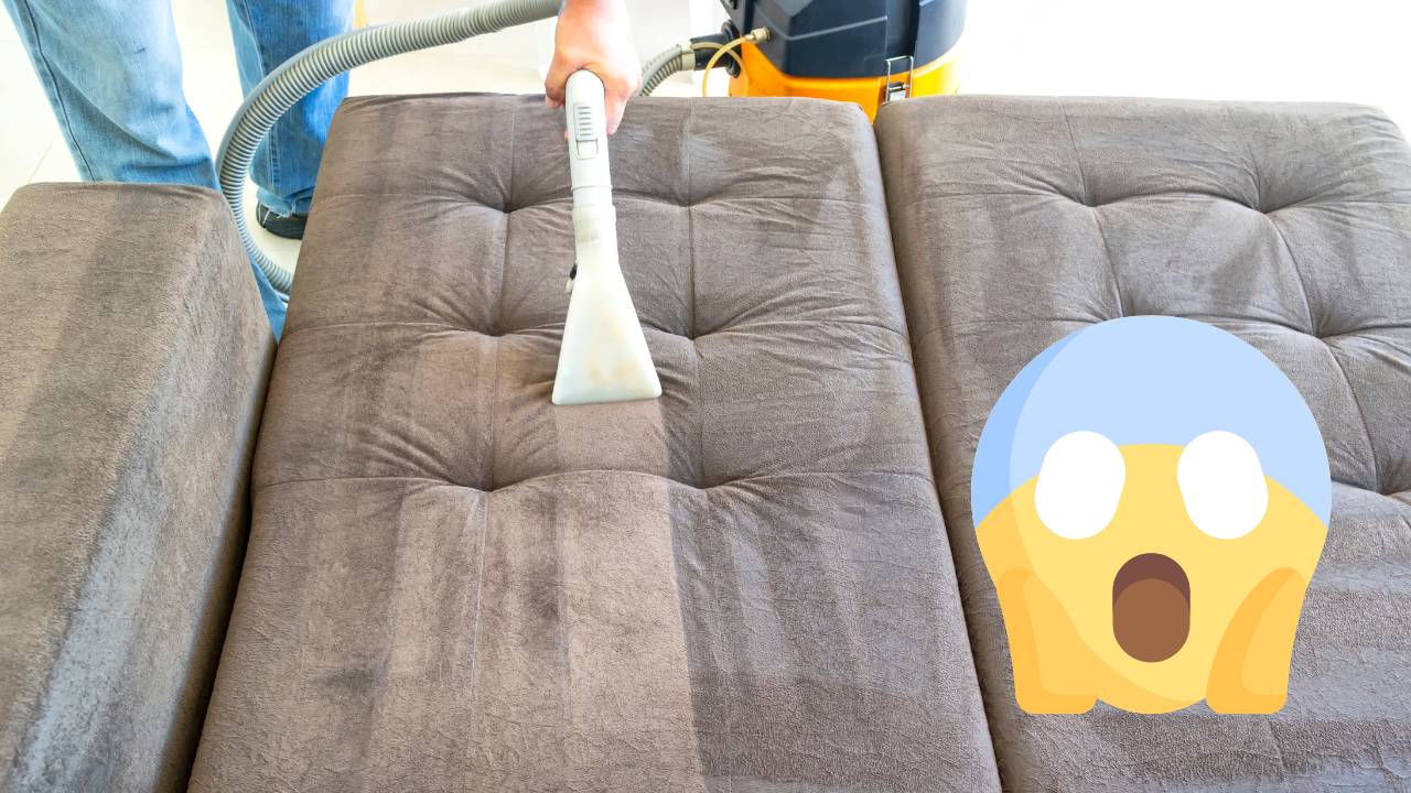 Como limpar sofá a seco? Com ESTE truque é possível!