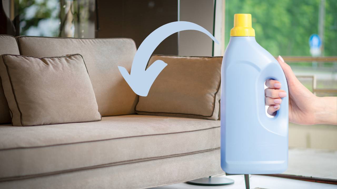 Mistura para limpar sofá com AMACIANTE? Conheça esse truque viral